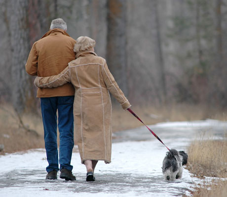 Las proteinas en la tercera edad - blog farmacia 24h - Farmacia 24 horas Palma | Farmacia Balanguera